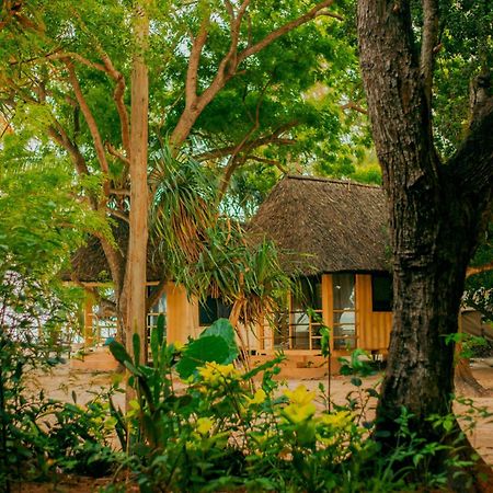 Mikadi Beach Camp & Backpackers Hostel Dar es Salaam Exterior foto